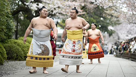 Бандзай Сумо! Групповой тур в Японию с посещением турнира сумо