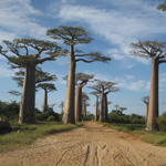 Madagascar