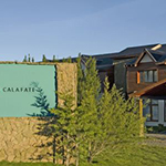 Rochester Calafate