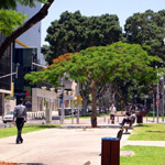 Израиль Boulevard Rotshild