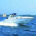 Sea 6