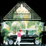 Royal Palm