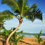 Sivory Punta Cana