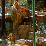 MGM Grand Hotel