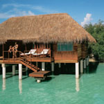 Taj Exotica