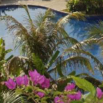 Busena Terrace_9