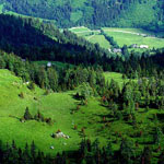 Austria_08