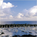 The Ritz-Carlton Coconut Grove