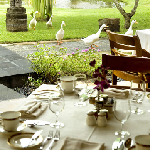 palace-lounge-table
