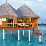 Taj Exotica