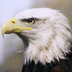 30Alaska