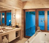 Vivanta By Taj - Coral Reef