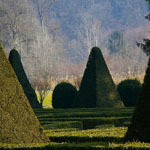 Chateau