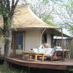 Sayari Camp
