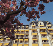 Fairmont Le Montreux Palace