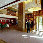 Vienna Plaza 8