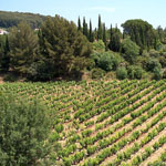 Bandol