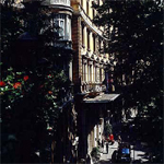 Majestic Roma 5