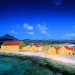 Antilles Islands_11
