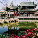 8-vegetable_park