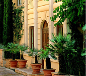 Metropole Monte Carlo