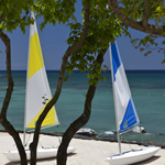 Westin Turtle Bay