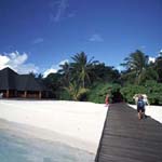 Paradise Island