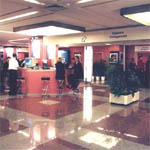 Hilton 3