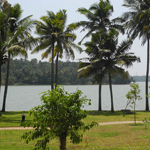 Kalari Rasayana