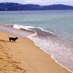 St Tropez