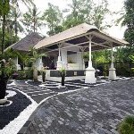 Kupu Kupu Barong