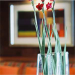 Conrad 7
