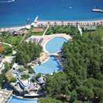 Club Zigana