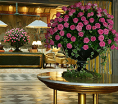 Metropole Monte Carlo