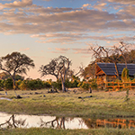 Belmond Savute
