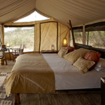 Oliver’s Camp