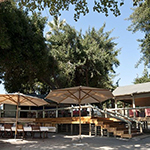 Seba Camp