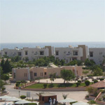 Melia Pharaoh 7