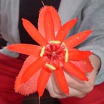 Венесуэла