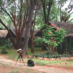 Lake Nakuru Lodge