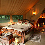 Il Moran Camp