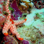 Seychelles_16