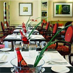 Conrad 8