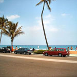 Palm Beach