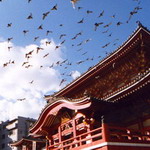 Japan_20