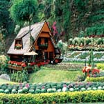 Krisdadoi Chiangmai Aprime Resort