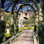 Bellagio Hotel