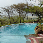 Serengeti Serena Safari