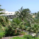 Movenpick Golf 6