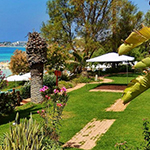 Grecian Sands